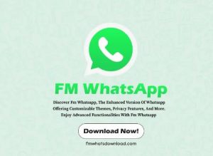 Troubleshooting Common Issues in FM WhatsApp